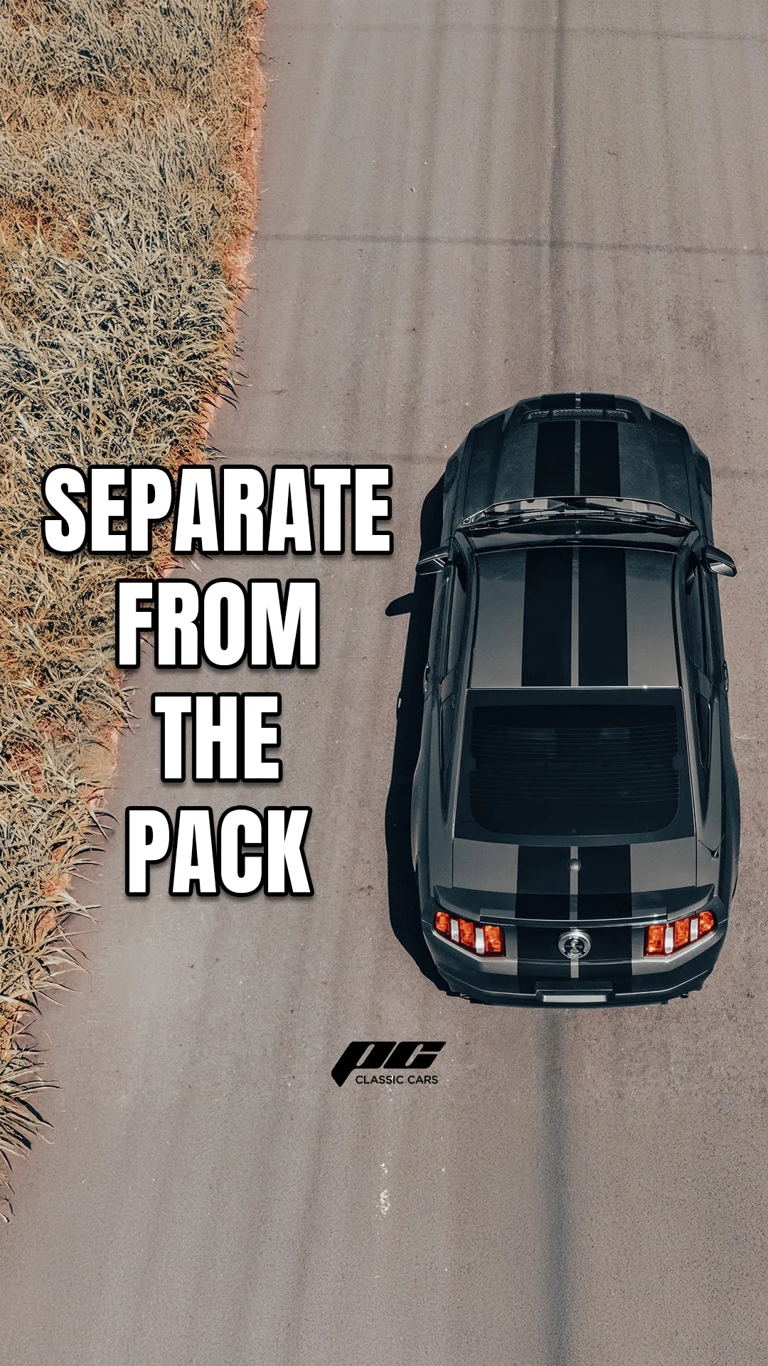 Separate from the Pack